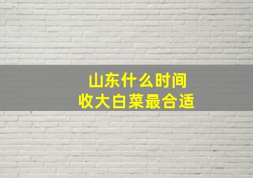 山东什么时间收大白菜最合适