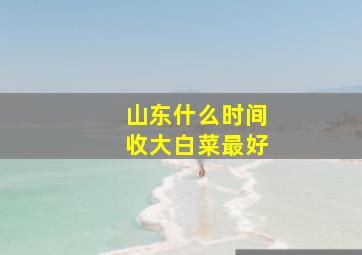 山东什么时间收大白菜最好