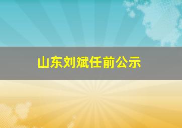 山东刘斌任前公示