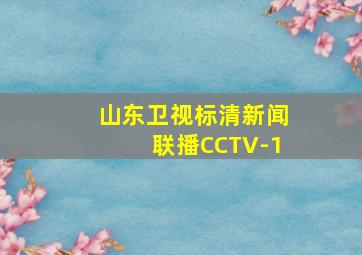 山东卫视标清新闻联播CCTV-1