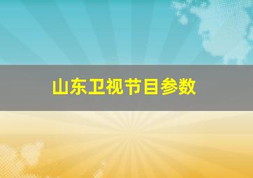 山东卫视节目参数