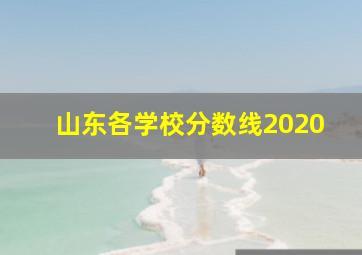 山东各学校分数线2020