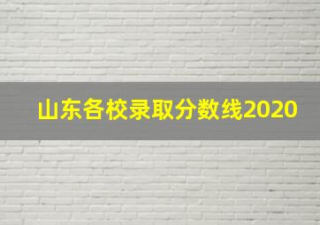 山东各校录取分数线2020