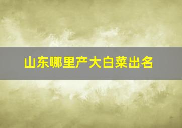 山东哪里产大白菜出名