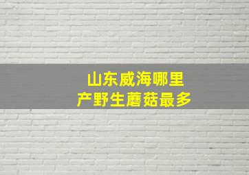 山东威海哪里产野生蘑菇最多