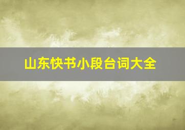 山东快书小段台词大全