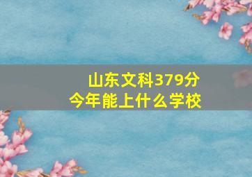 山东文科379分今年能上什么学校