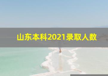 山东本科2021录取人数