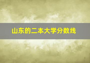 山东的二本大学分数线