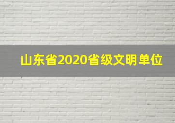 山东省2020省级文明单位