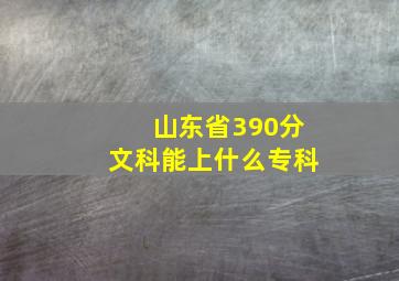 山东省390分文科能上什么专科