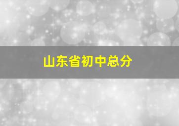 山东省初中总分