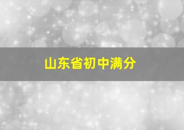 山东省初中满分