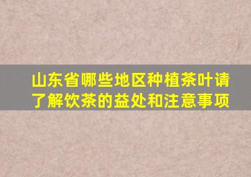 山东省哪些地区种植茶叶请了解饮茶的益处和注意事项