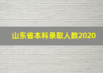 山东省本科录取人数2020