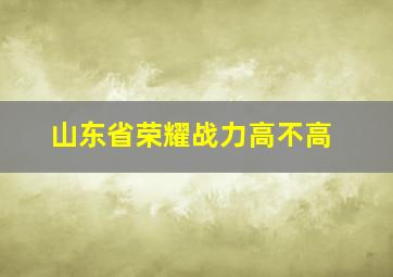 山东省荣耀战力高不高