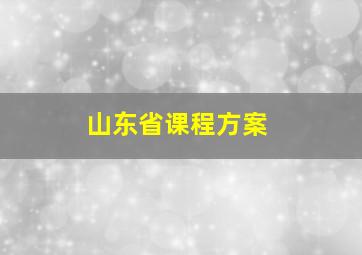 山东省课程方案