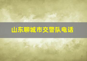 山东聊城市交警队电话