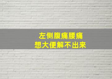 左侧腹痛腰痛想大便解不出来