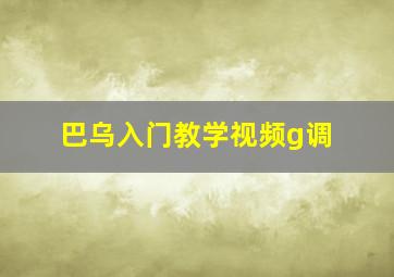 巴乌入门教学视频g调