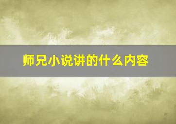 师兄小说讲的什么内容