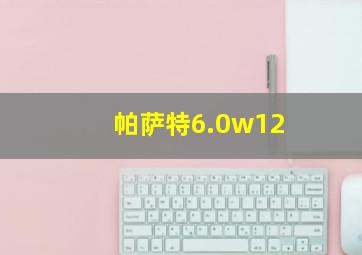 帕萨特6.0w12