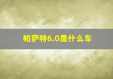 帕萨特6.0是什么车