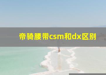 帝骑腰带csm和dx区别