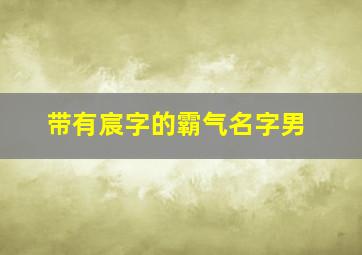 带有宸字的霸气名字男