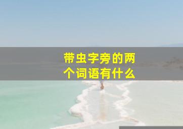 带虫字旁的两个词语有什么