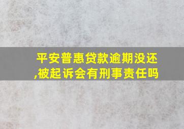 平安普惠贷款逾期没还,被起诉会有刑事责任吗