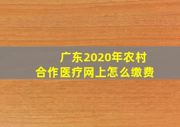 广东2020年农村合作医疗网上怎么缴费