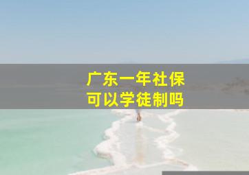 广东一年社保可以学徒制吗