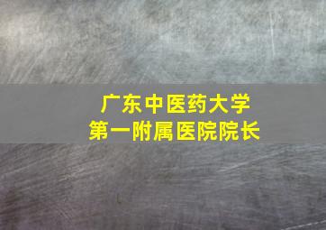 广东中医药大学第一附属医院院长