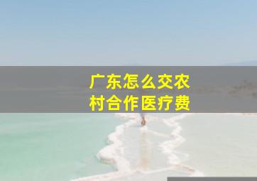 广东怎么交农村合作医疗费