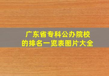 广东省专科公办院校的排名一览表图片大全