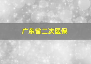 广东省二次医保