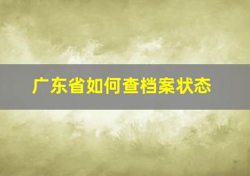 广东省如何查档案状态