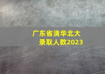 广东省清华北大录取人数2023