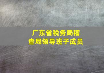 广东省税务局稽查局领导班子成员