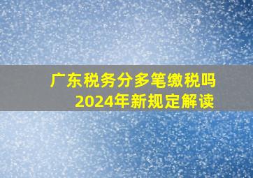 广东税务分多笔缴税吗2024年新规定解读