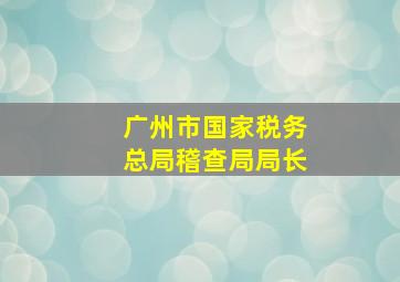 广州市国家税务总局稽查局局长