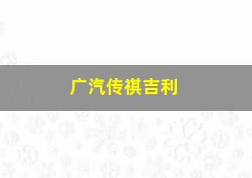 广汽传祺吉利