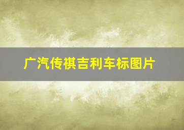 广汽传祺吉利车标图片