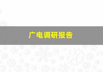 广电调研报告