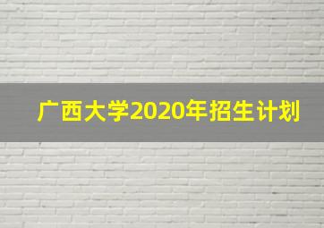 广西大学2020年招生计划