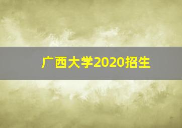 广西大学2020招生