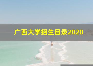 广西大学招生目录2020