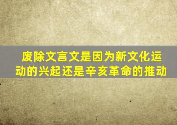 废除文言文是因为新文化运动的兴起还是辛亥革命的推动