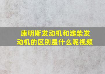 康明斯发动机和潍柴发动机的区别是什么呢视频